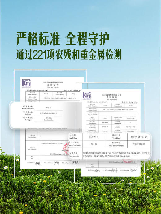 MM 山姆 球生菜 800g 商品图3