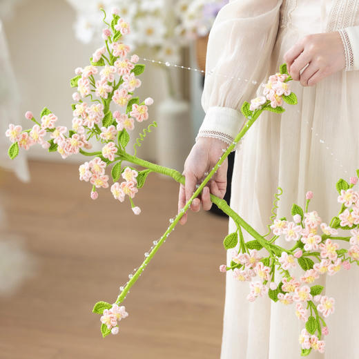 苏苏姐家花间弓藏自制手工diy钩针编织4股棉毛线团材料包 商品图1