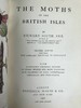 1907-1908年 不列颠群岛蛾类图鉴（2卷） 千余幅彩色插图 精装64开 商品缩略图5
