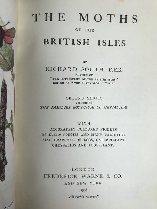 1907-1908年 不列颠群岛蛾类图鉴（2卷） 千余幅彩色插图 精装64开 商品图5