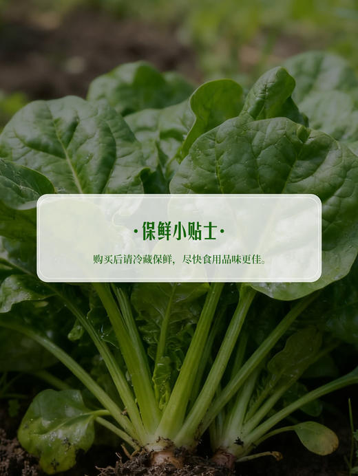 MM 山姆 笨菠菜 400g 商品图6