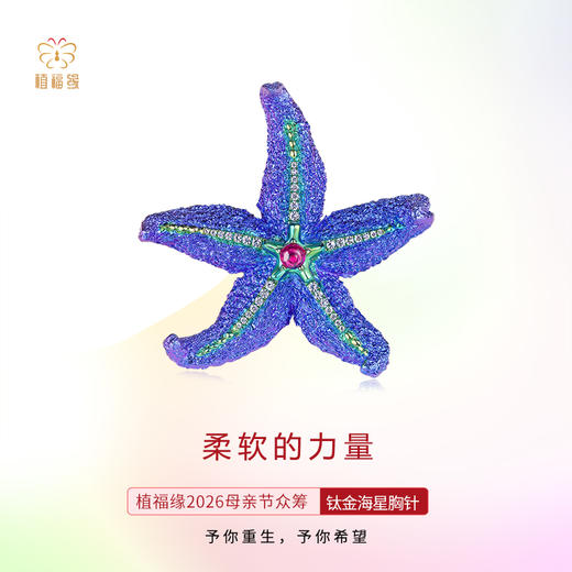母亲节众筹《柔软的力量》钛金海星胸针 商品图0