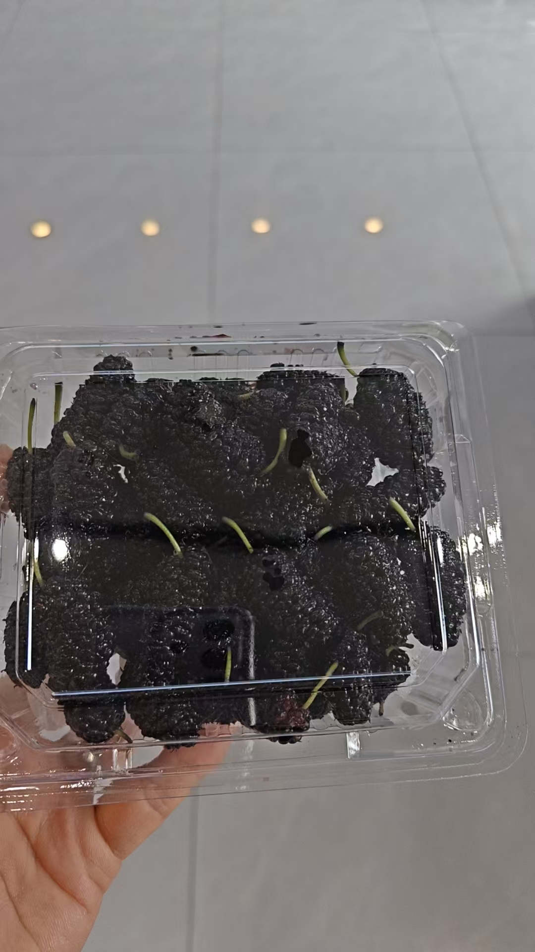 大凉山桑葚（300g左右/盒