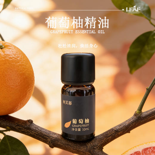利芙耶 葡萄柚单方精油 商品图0