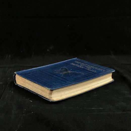 1906年 不列颠群岛蝴蝶图鉴 450幅彩色插图 精装64开 商品图1