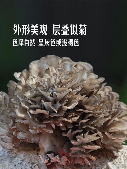 MM 山姆 舞茸 300g 商品图3