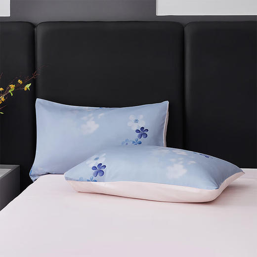 梦洁 云绒印花四件套臻礼·蓝若 商品图2