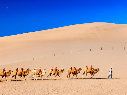 五一7日【西北环线】｜重走丝绸之路の青甘大环线-打卡网红东台吉乃尔湖·水上雅丹 商品图10