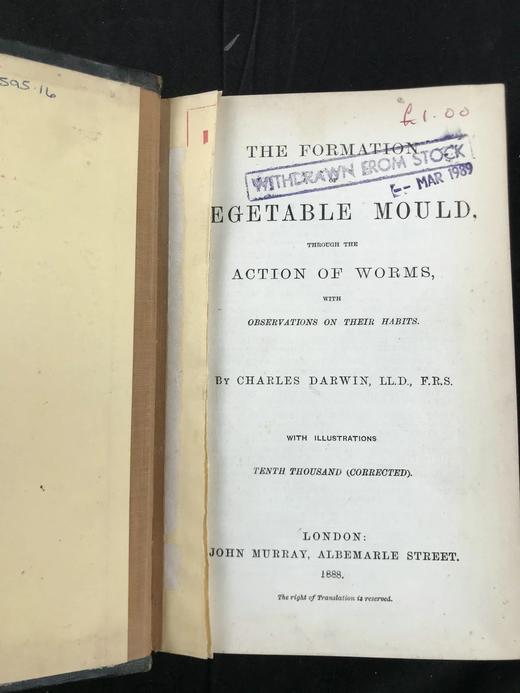 1888年 达尔文《腐植土的形成：蚯蚓的作用及其习性观察》 配插图 精装32开 商品图2