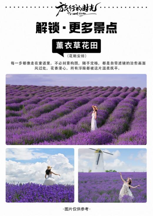 6人小团丨新疆伊犁河谷、车进赛里木湖、薰衣草花田、那拉提、夏塔秘境、唐布拉百里画廊6天 商品图5