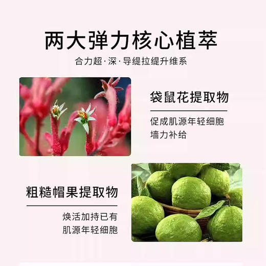 【春季焕新】【香港免税店🇭🇰】【香港直邮】Clarins娇韵诗弹簧日霜晚霜50ml 商品图6