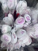 【新花派】大丽花~陈映君 嫩粉色 约5枝/扎 商品缩略图12