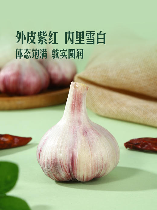 MM 山姆 鲜蒜头 1.1kg 商品图5