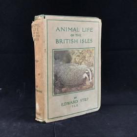 1946年 不列颠群岛动物生命图鉴 111余幅插图（48幅彩色） 精装36开