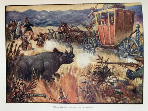 约20世纪早期 科尔文《帝国传奇：南非》 12幅彩色插图 漆布精装32开 商品图9