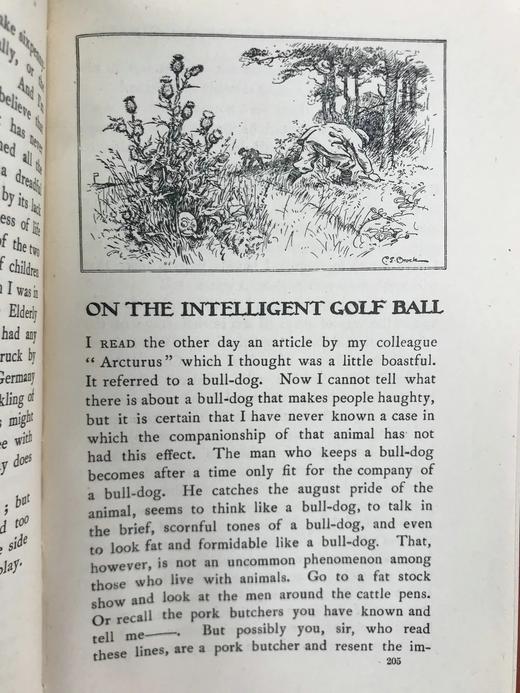 1917年 斯特雷顿《岸边的卵石》 C.E.布洛克数十幅插图 漆布精装36开 商品图12
