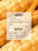 MM 山姆 小花糯玉米 1.58kg 商品缩略图7