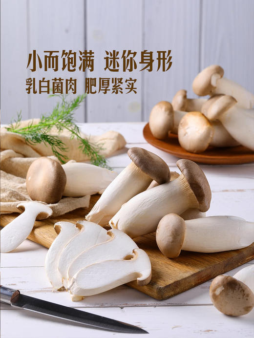 MM 山姆 迷你瓶栽杏鲍菇 520g 商品图4