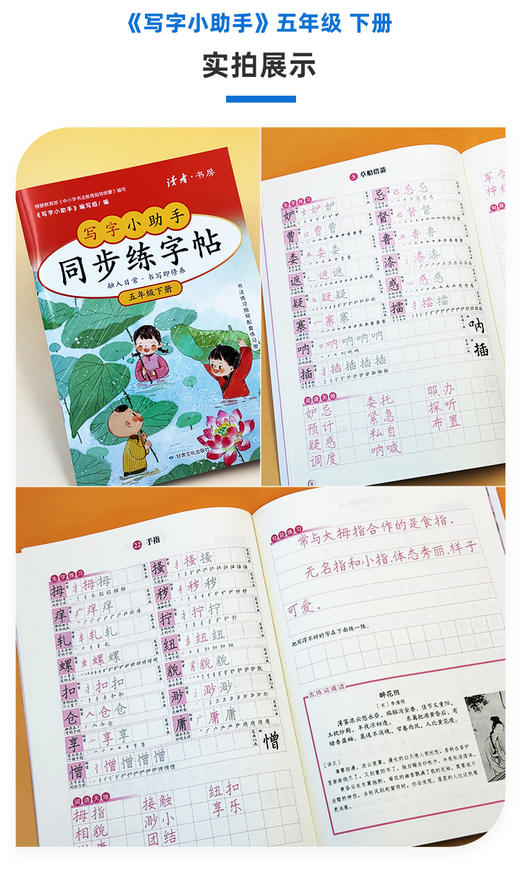 【5年级】2026春季学期 小学语文同步练字帖 全学段、阶梯式硬笔书法练习册 商品图1