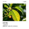 利芙耶 苦橙叶单方精油 商品缩略图1