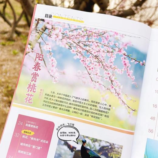 《博物》 自然人文综合知识类杂志 已更新至2026年四月刊（第4期） 《中国国家地理》青春版 科普百科 商品图7