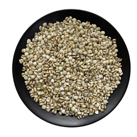 薏苡仁  煮粥糯小薏苡仁 薏仁米 苡仁米  家用食材 商品图4