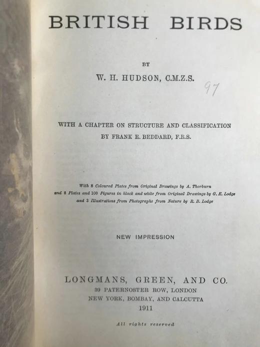 1911年 赫德森《英国鸟类》 8幅彩色百余幅黑白插图 全真皮精装32开 商品图3