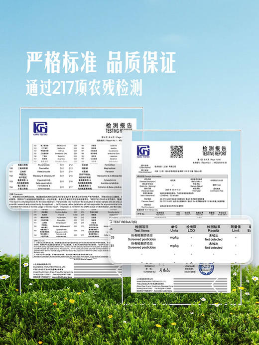 MM 山姆 松花菜 800g 商品图3