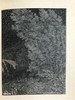 1904年 迈克尔·弗尔里斯《修路者》 6幅版画插图 纸面精装32开 商品缩略图6