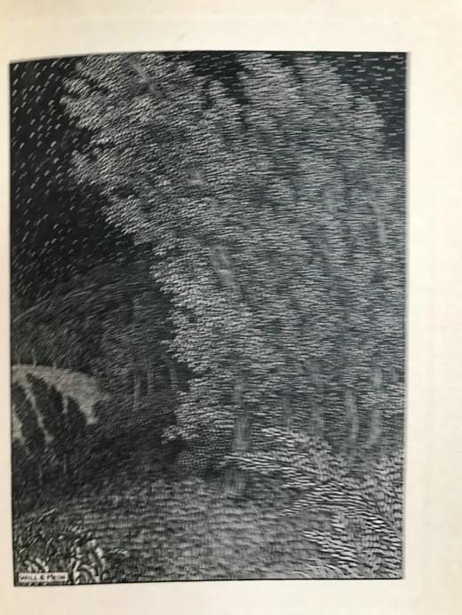 1904年 迈克尔·弗尔里斯《修路者》 6幅版画插图 纸面精装32开 商品图6