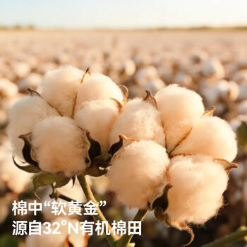 贝肽斯婴儿隔尿垫天然彩棉防水可水洗床单姨妈垫生理期 瑞兔65x120cm 商品图3