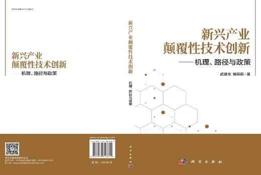 新兴产业颠覆性技术创新——机理、路径与政策 武建龙 鲍萌萌 9787030848802 商品图3