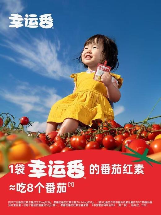 松鲜鲜番茄沙司番茄酱60g 商品图2