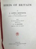 工坊特装本！1907年 英国鸟类图鉴 100幅彩色插图 真皮精装18开 商品缩略图3