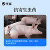 华畜水溶型阿苯达唑伊维菌素 可拌料可兑水 猪牛羊鸡鸭鹅通用 商品缩略图4