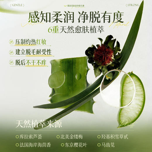 脱毛膏私密处去脱毛男女士专用脱腋下腿毛全身永比基尼|儒意官方商城 商品图3