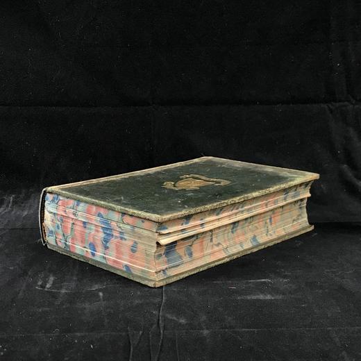 工坊特装本！1906年 宏观与微观宇宙 276幅版画插图 全真皮精装大32开 商品图1