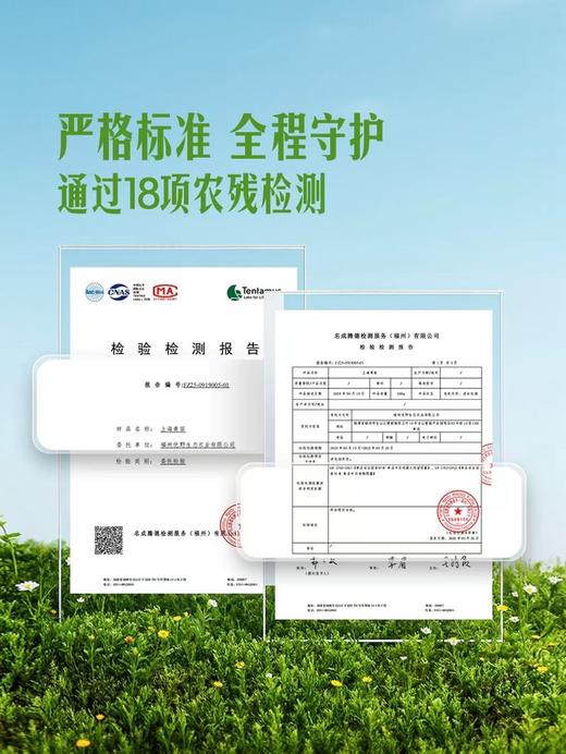 MM 山姆 上海青苗 600g 商品图4