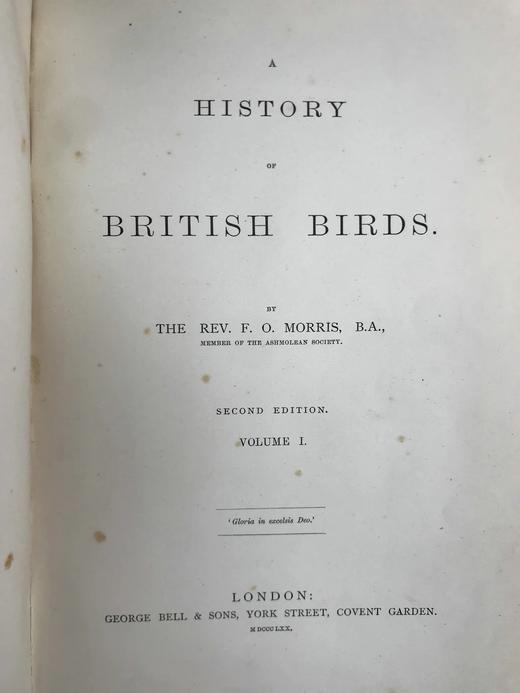 1870年 莫里斯《英国鸟类史》（全6卷） 358幅套色版画插图 漆布精装16开 商品图3