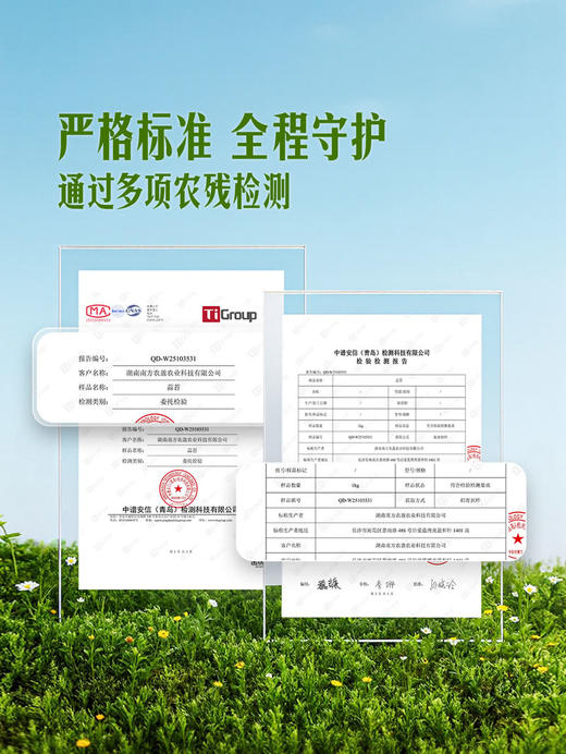 MM 山姆 蒜苔 500g 商品图3