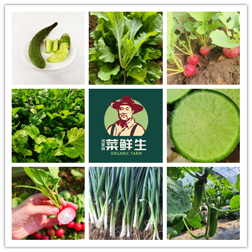 【限量福利3.9折优惠活动】鸿翠园 有机蘸酱菜套餐