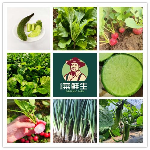 【限量福利3.9折优惠活动】鸿翠园 有机蘸酱菜套餐 商品图0