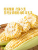 MM 山姆 水果甜玉米 1.5kg 商品缩略图5