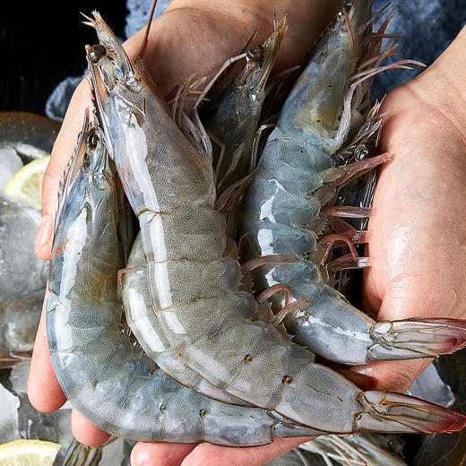 大黄鲜森 30/40南海大虾 1500g 商品图1