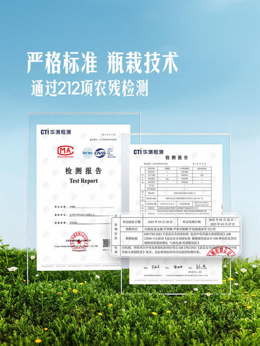 MM 山姆 迷你瓶栽杏鲍菇 520g 商品图3