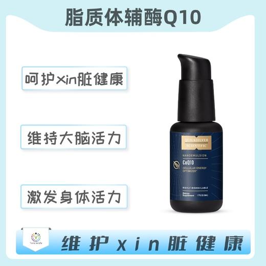 海外  COQ10 脂质体辅酶Q10 商品图0