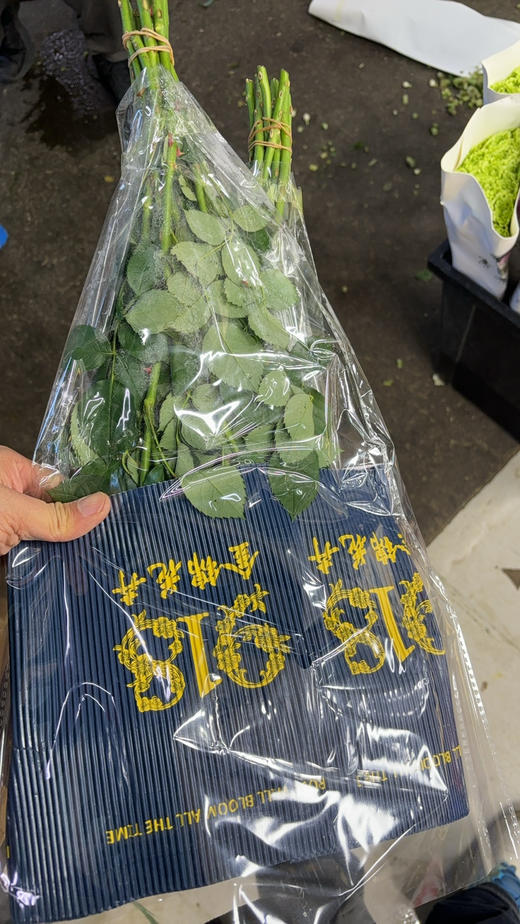 金锦骄傲50公分花头大 商品图1