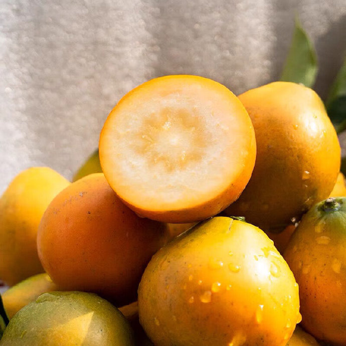 B1F【自采水果】脆蜜金桔5号果  规格：650g （取货日期：4月16日）