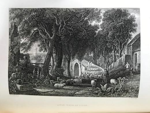 1863年 彭斯作品全集（全2卷） 数十幅版画插图 真皮精装16开 商品图4