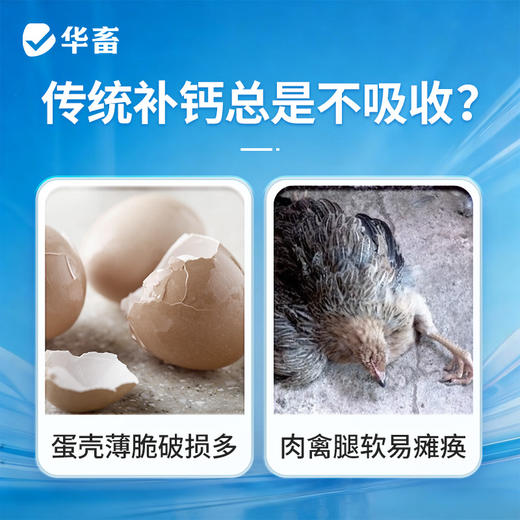 华畜纳米液体钙1L 有机液体钙更好吸收强骨骼少瘫脚蛋壳硬 商品图2
